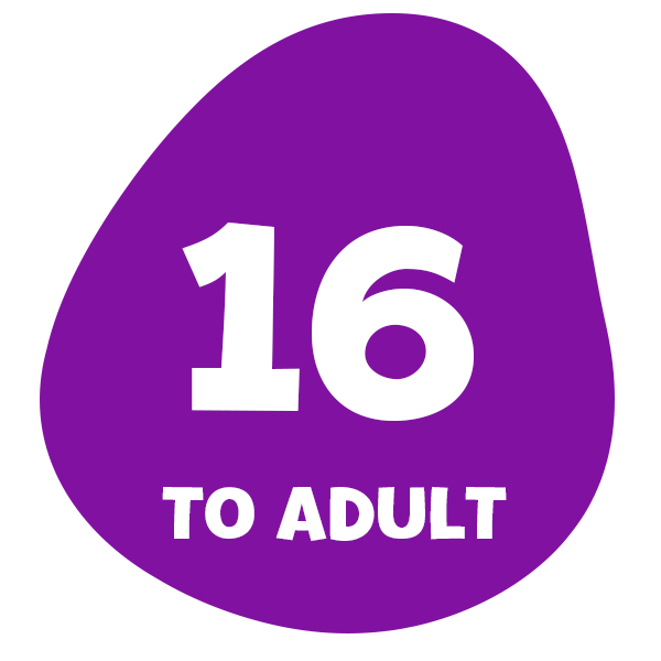 Toys and Games For Ages 16 To Adult Boys And Girls