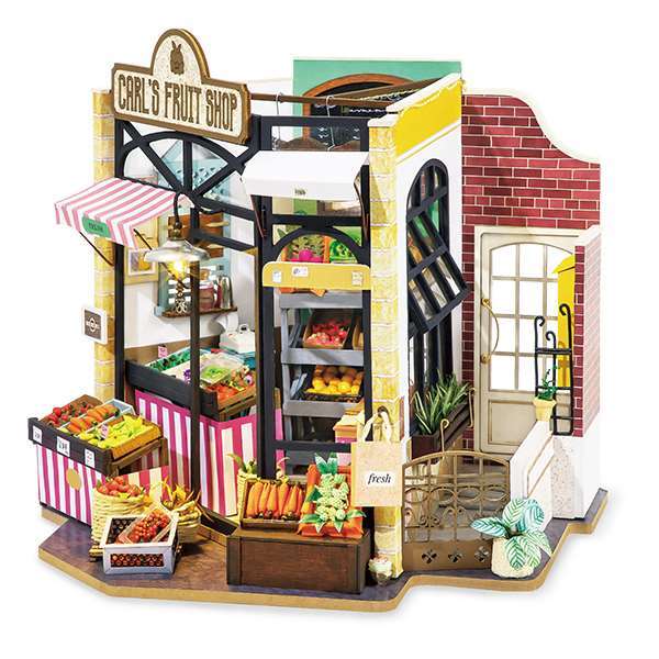 SET OF ALL SIX DIY MINIATURE HOMES AND SHOPS Image