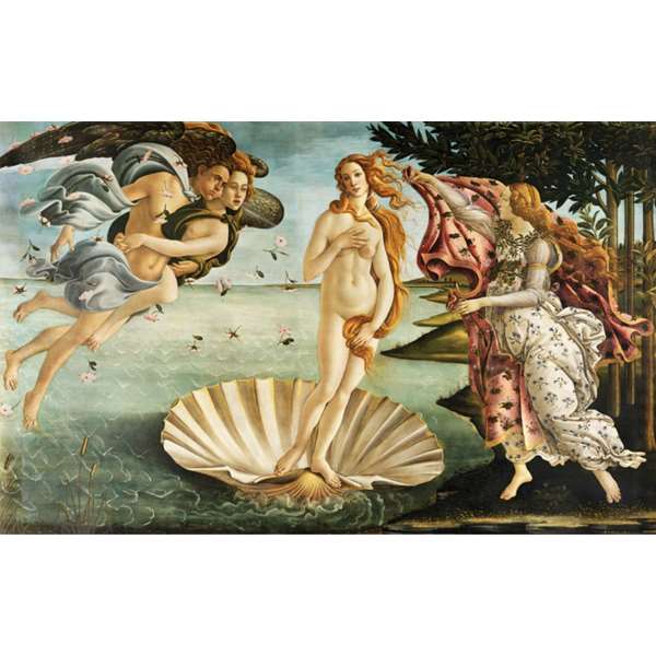THE BIRTH OF VENUS