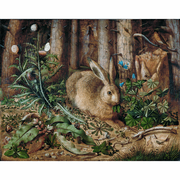 A Hare In The Forest