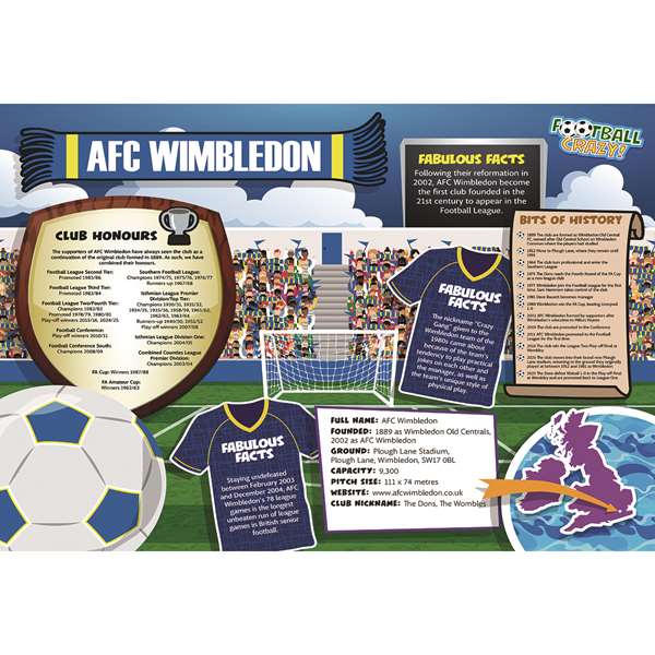 FOOTBALL CRAZY AFC WIMBLEDON (CRF400)