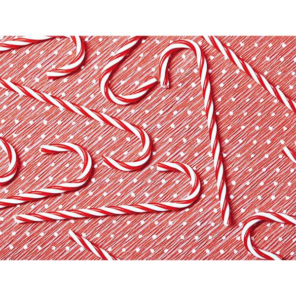 CANDY CANE
