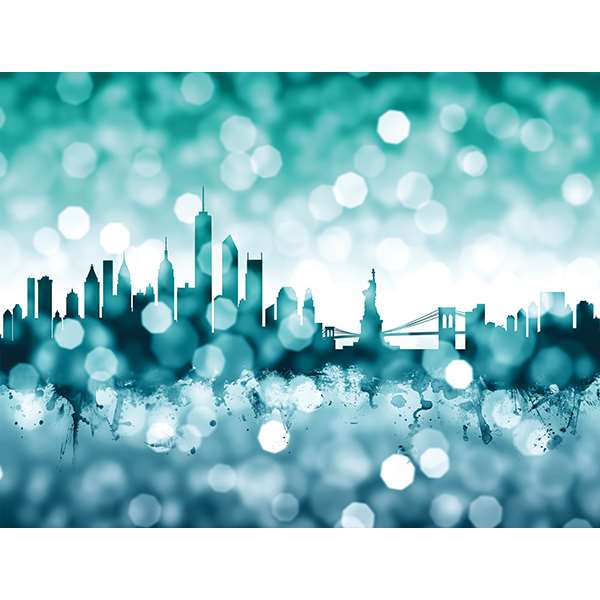 NEW YORK SKYLINE BOKEH WINTER
