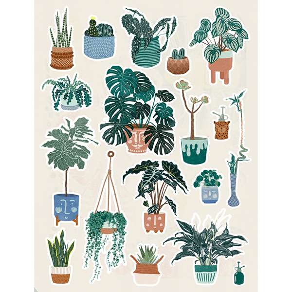BLUE PLANTS