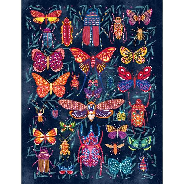 INSECTS