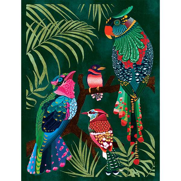 TROPICAL BIRDS