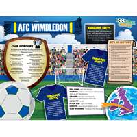 FOOTBALL CRAZY AFC WIMBLEDON (CRF400) Thumbnail