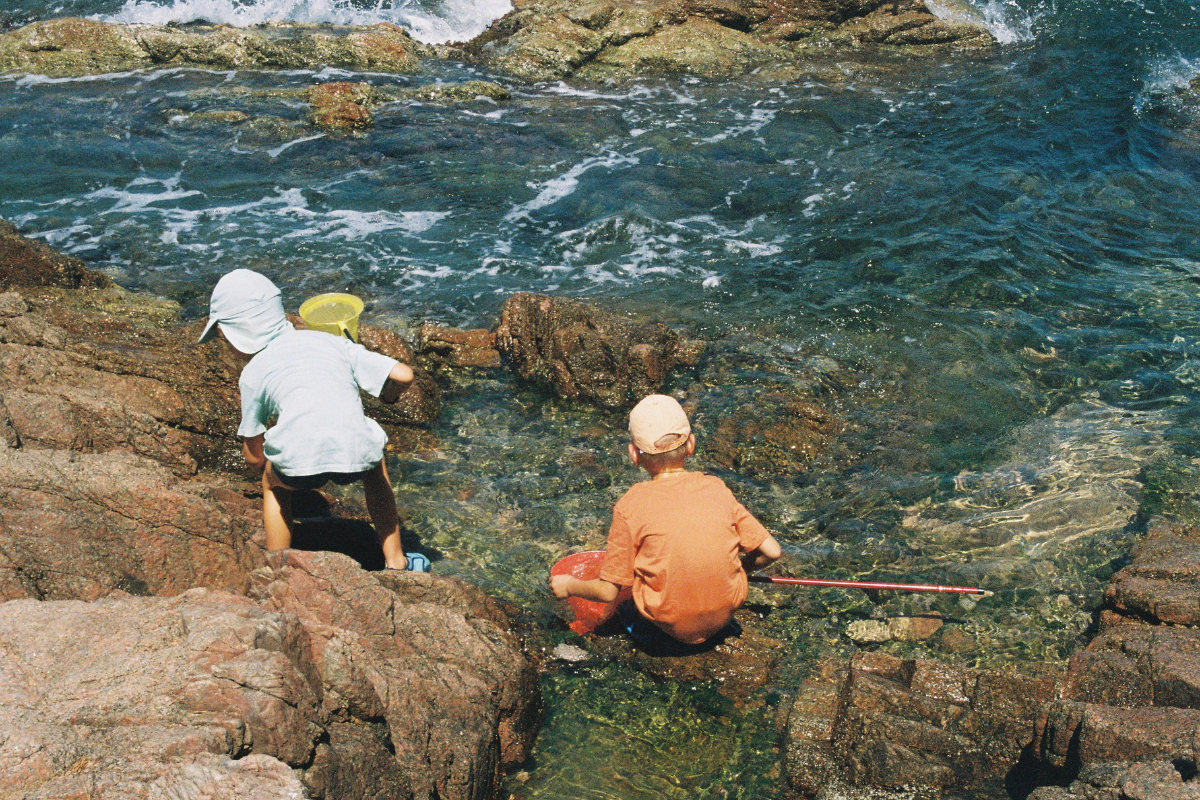 rock pooling for kids